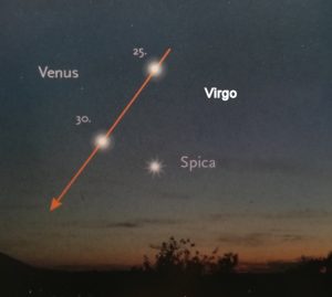 Venus and Spica in morning sky